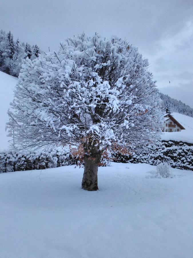 Apartament Haus Kieler Schladming Zewnętrze zdjęcie